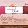 Rich Girl Matte Blush Makeup Mineral Makeup Pure Talc Free Minerals Matte Loose Face Makeup Powder Blush for Cheeks 5 Gram Travel Size Blush