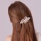 4 PCS Hair Clips for Women Ladies, Butterfly Design Crystal Rhinestones French Barrettes Spring Hair Barrettes Clip, Women Fashion Ponytail Holders Barrettes for Daily Wear (Multicolor)