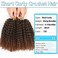 8 Inch Short Passion Twist Hair 6 Bundles Kinky Curly Crochet Hair for Black Women Curly Braiding Hair Crochet Braids Hair（6Bundles8 Inch, 1B/30）