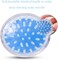 Manual Scalp Massagers Brush,Scalp Massaging Shampoo Brush SCMPUI01BL Blue