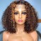 Venice Hair Highlight Brown Hair 13x6 Virgin Curly Lace Front Human Hair Wigs Pre Plucked Hairline With Perimeter Baby Hair Bleached Knots (14inch, Highlight Brown 150% density)