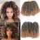 Kinky Curl Ombre Color 3little pcs/pack 8Inch 60roots 110gram Afro Kinky Twist Hair Crochet Braids Synthetic Crochet Hair Extention(1B/27)