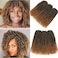 Kinky Curl Ombre Color 3little pcs/pack 8Inch 60roots 110gram Afro Kinky Twist Hair Crochet Braids Synthetic Crochet Hair Extention(1B/27)
