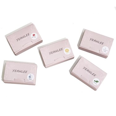 5 Boxes (500 Sheets) Paper Soap Sheets Hand Washing Soap Sheets Portable Disposable Camping Mini Soap Hand Soap Sheets Travel Soap Sheets- 5 Scents