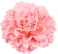 Hair Flower Clips Brooch Boutique Hair Accessories Bohemia Hairpins for Women Girls (Pink) 1 Count (Pack of 1)