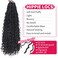 6Packs Goddess Locs Crochet Hair,22Inch Curly Faux Locs Crochet Hair Hippie Locs Crochet Braids Long Crochet Goddess Faux Locs for Black Women（22inch 1B）