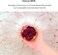 Bath Bombs Gift Sets- 6 Fizzies Luxury Large Size with Real Flowers and Natural Organic Essential Oil for Bubble SPA Bath, Self Care Gifts for Women, Mon, Daughter, Girlfriend,Pack of 6 (Rose)