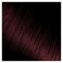 Kiss: Express Semi Permanent Hair Color - Black Cherry K84-Black Cherry