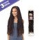 Freetress Braids Crochet Braids 2X Indie Distressed Loc 26 in (3-pack, 1B)