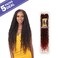 Freetress Braids Crochet Braids 2X Nita Distressed Gorgeous Loc 26 in (5-pack, 1B)