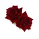 Kercisbeauty Rose Red Hair Comb for Flamenco Dancer Wedding Bridal Headpiece Bridesmaid Prom Hair Clip (Small Comb, Dark Red)