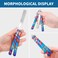 SVNR Butterfly Comb, Stainless Steel Folding Practice Combs, 3D Color Printing Tactical Butterfly-Open Pattern Knife Trainer for Sport Outdoor Use (Blue)