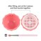 longway 0.24Oz (7ml) Empty Lip Balm Sphere Containers   Screw Cap Lipstick Tubes/Chapstick Tubes/Chapstick Holder for Lip Gloss &amp; BPA FREE (Pack of 10, Black)