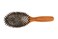 Bass Brushes Large Oval Cushion Style Brush, 1 EA