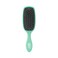 Wet Brush Shine Enhancer, Aqua, Natural Boar Bristles with Ultra-Soft IntelliFlex Technology, Leaves Hair Shiny and Smooth, Detangling Brush for All Hair Types, For Women, Men, Wet &amp; Dry Styling