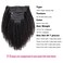 Kinky Curly Clip in Hair Extensions Real Human Hair 3C 4A Human Hair Clip in Extensions Double Weft Afro Kinky Curly Clip ins for Black Women Natural Color 7pcs 120g/Set 16Inch
