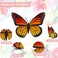 12 Pcs Monarch Butterfly Hair Clips, 4 Size 3D Simulation Butterflyr Hair Barrettes Butterfly Headwear Clips for Halloween Dia De Los Muertos Day of the Dead Decorations (12 Pieces)