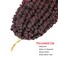 30 inch Passion Twist Pre-Twisted Ombre Red Crochet Hair,6Packs Bohemian Burgundy Long Passion Twists Braiding Hair Water Wave Pre Looped Passion Twists Braids for Black Women (Tbug,30inch,6Packs)