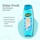 Dalan Natural Extracts Body Wash, with Fresh Pink Grapefruit &amp; Aloe Vera &amp; Sea Minerals, 15.2 fl oz (1 Pack, Sea Minerals)