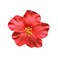 Red Hawaiian Flower Hair Clip for Women Girls Fashion Bohemian Flowers Hair Accessory for Dancer Bridal Wedding Beach Party Hair Clips
