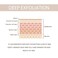 Purifying Exfoliating Gel, Bamboo Charcoal Blackhead, Face and Body Exfoliating Scrub Gel, Deep Cleansing Moisturizing Facial Exfoliator for All Types Skin