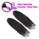 2 Pack Passion Twist Crochet Hair 10 Inch Natural Black Pre-twisted Short Passion Twist Hair, Pre Looped Passion Twist Crochet Braids Bohemian Crochet Hair