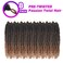 Bileaf Passion Twist Hair 10 Inch Crochet Hair Pre Lopped Crochet Boho Passion Twist Crochet Hair 8 Packs Bohemian Short Crochet Twist Braiding Hair Passion Twists Ombre Color 1B-4-30