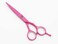 ROCOCO Professional 5.5 inch Pink Salon Hair Cutting Scissors and Hair Thinning Shears with Razor for Female Hairdresser(Pink)
