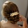Dazzhues 6 PCS Leaf Hair Combs Wedding Hair Comb Clips Gold Rhinestone Side Comb Wedding Headpiece Hair Accessories for Women Girls Bride Bridesmaid(3 Different Size)