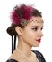 Bridal 1920s Flapper Feather Headband with Hair Clip Crystal Flower Black Peacock Feather Headpiece Hair Jewelry for Women and Girls (Red)