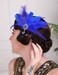Aimimier 1920s Flapper Feather Hair Clip Royal Blue Crystal Teardrop Headpiece Prom Party Festival Roaring 20s Accessories for Women and Girls