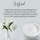 ProDerma Unscented Facial Cream - Hyaluronic Acid, Niacinamide, Vitamin B5, Squalane, Betaine - 8 oz