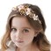Campsis Flower Girl Headpiece Wedding Head Piece Crystal Pearl Hair Headband First Communion Accessories Tiara for Girls(Gold)