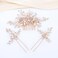 Oriamour Hair Side Combs With 2 Set Hair Pins Bridal Hair Accessories Wedding Headpiece Set (Gold)