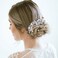 Cinaci 40 Pack Shinning Silver Rhinestone Butterfly Leaf Flower Bridal Hair Side Combs+U-shaped &amp; Twist Hair Pins Clips Barrettes Wedding Headpieces Accessories for Women Girls Brides Bridesmaids