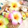 10 Pcs Multicolor Hawaii Plumeria Flower Clips Hawaiian Flower Hair Barrettes Beach Party Hair Clips Artificial Tropical Flower Hairpins for Wedding 7cm