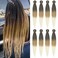 Ombre Braiding Hair Pre Stretched 30 Inch Brown Blonde 8 Packs Easy Braids Hot Water Setting Synthetic Braiding Hair Extensions Crochet Hair Braiding Twist(30 inch-8Pcs, 1B-27-613)