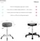 Rolling Stool for Work Medical Tattoo Salon Office, Heavy Duty Esthetician Stool with Wheels Adjustable Hydraulic Chair (Grey)