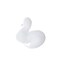 The Cleanser
