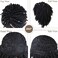 GNIMEGIL Black Dreadlocks Wig for Men Locs Wig Short Afro Braids Wigs Styles 14 inch African American Wig Twist Synthetic Curly Natural Wig South Africa (1B)