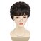 GNIMEGIL Synthetic Short Brown Wigs for White Women Curly Mommy Wig with Bangs Older Ladies Costume Mommy Daily Use Soft and Health Come with Wig,Glasses,Necklace,Chain