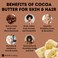 HalalEveryDay 5 Lb Cocoa Butter Bag, Raw, Unprocessed. Use for Lotion, Cream, Lip Balm, Oil, Stick, or Body Butter. Non-GMO Food Grade Cosmetic Grade