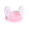 Cute Bunny Ear Headband,Face Wash Makeup Spa Headbands,Soft Carol Fleece Hairlace Headband for Women (Pink)