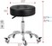 Adjustable Heavy Duty Stool - Rolling Stools with Locking Caster Wheels - Swivel Stools Backless Chair for Beauty Hair Salon Spa Home Kitchen Office Shop Massage(Black, Height 18 to 22 in)