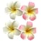 4 Pcs 7cm Foam Hawaiian Frangipani Artificial Plumeria Hair Clips - White and Pink Flower Clips for Beach Wedding Headdress Decoration
