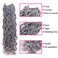 6 Packs Goddess Locs Crochet Hair Wavy Curly Grey Faux Locs Crochet Braids Synthetic Hair Extensions Faux Locs Crochet Low Temperature Braiding Hair Goddess Braids Crochet Hair (20" (6 Packs), 51)