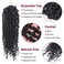 Passion Twist Hair - 8X 14 Inch Passion Twist Crochet Hair For Women, Crochet Pretwisted Curly Hair Passion Twists Synthetic Braiding Hair Extensions (14 Inch, 1B)