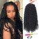 Passion Twist Hair - 8X 14 Inch Passion Twist Crochet Hair For Women, Crochet Pretwisted Curly Hair Passion Twists Synthetic Braiding Hair Extensions (14 Inch, 1B)