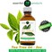 ELP Pure Tea Tree Essential Oil Naturals- 100% Pure, Aceite de Arbol de Te 2 fl oz