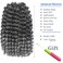 3Packs 2X Ringlet Wand Curl 12 Inch Jamaican Bounce Crochet Hair Synthetic Crochet Braids Hair Extensions Crochet Braiding Hair 20 Roots (12Inch (Pack of 3), TGrey)